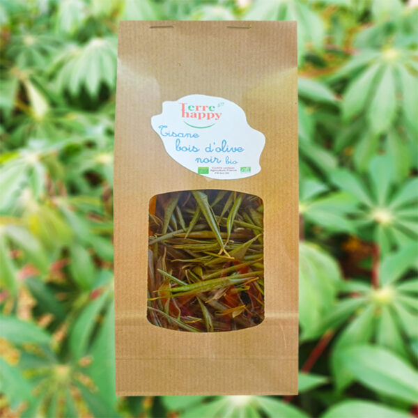 tisane de bois d’olives noir bio olea europaea ssp. africana