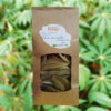 tisane de feuilles de bois de pêche marron bio – psiloxylon mauritianum