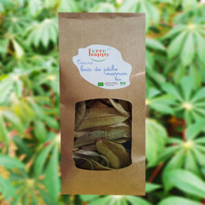 tisane de feuilles de bois de pêche marron bio – psiloxylon mauritianum