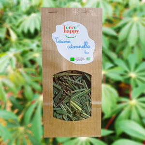 tisane de citronnelle bio – cymbopogon citratus