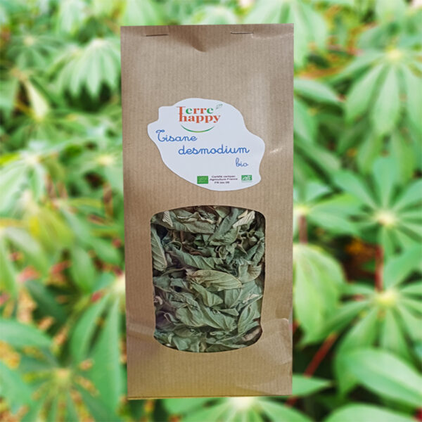 tisane de desmodium bio desmodium adscendens