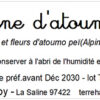 tisane d'atoumo bio – alpinia zerumbet