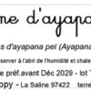 tisane d’ayapana bio ayapana triplinervis
