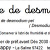 tisane de desmodium bio desmodium adscendens