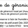 tisane de géranium rosat bio – pelargonium graveolens