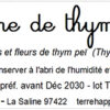 tisane de thym bio – thymus vulgaris