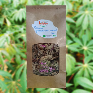 tisane de géranium rosat bio – pelargonium graveolens