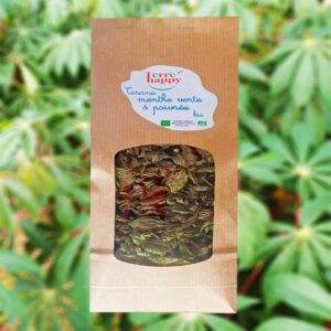 tisane duo menthe verte & menthe poivrée bio