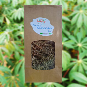 tisane de romarin bio – rosmarinus officinalis