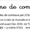 tisane géranium citronnelle bio – pelargonium citronellum