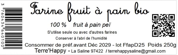 farine de fruit à pain bio – sans gluten