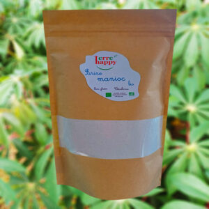 manioc fond manioc acidule 1