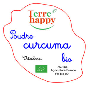 poudre de curcuma