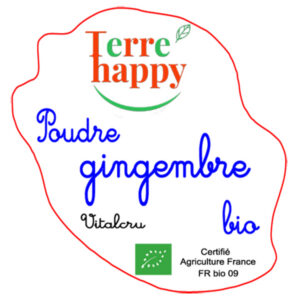 poudre gingembre