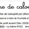 tisane de feuilles de caloupilé bio – murraya koenigii